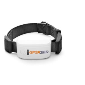 Honden GPS Tracker Midden-Grote hond TK909 - GPS GIGANT