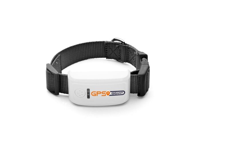 Honden GPS Tracker Midden-Grote hond TK909 - GPS GIGANT