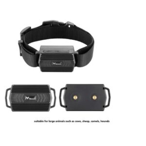 Ruitersport GPS Tracker - GPS GIGANT