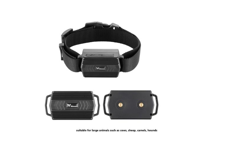 Ruitersport GPS Tracker - GPS GIGANT