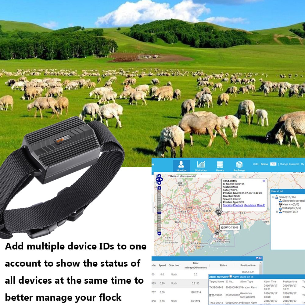 Voorbeeld Vee GPS Tracker - GPS GIGANT